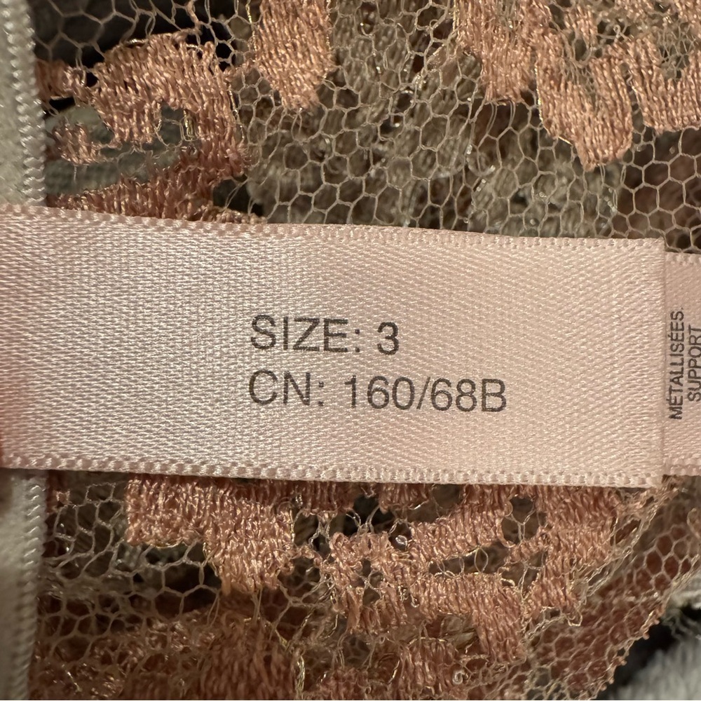NWT AGENT PROVOCATEUR Lorelli Lace Silk Bikini Briefs Rose Gold Silver AP Size 3 - Picture 6 of 16